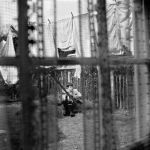 en album 2671 chaos and creation in the backyard пол маккартни